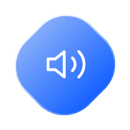 Voice Search Optimize