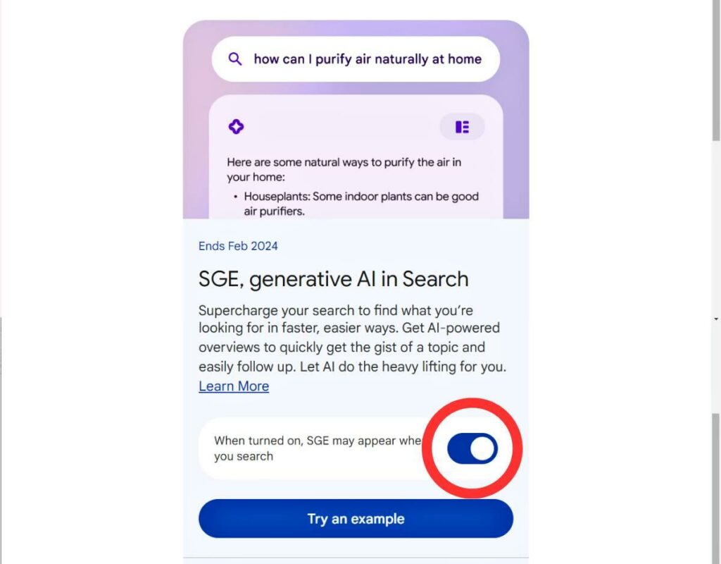How to enable Google SGE