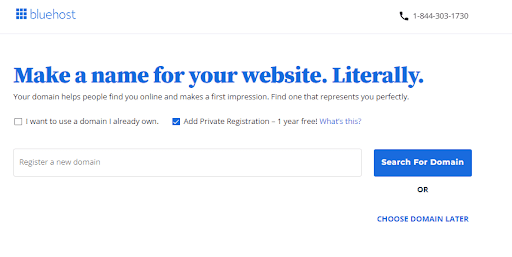 bluehost hosting platform