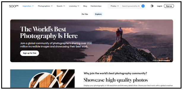 500px image submission
